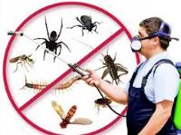 Pest Control Blacktown image 4